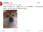 IGN总部给争议游戏《原神》打高分 中国分站反了：不代表我