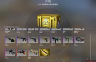 CSGO：能买3套房了？网友开出天价皮肤，预估起码能卖20万