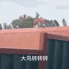 2021年10款游戏大作盘点：款款都能让你热血沸腾