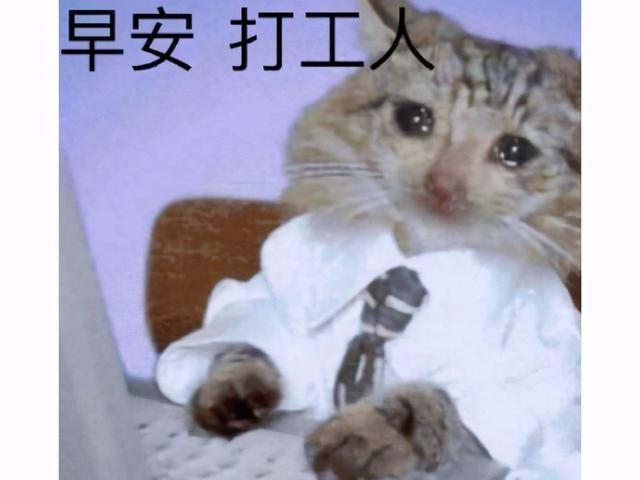 暴雪今年赚了吗？魔兽重制版0.5分被骂成狗，却靠9.0翻身