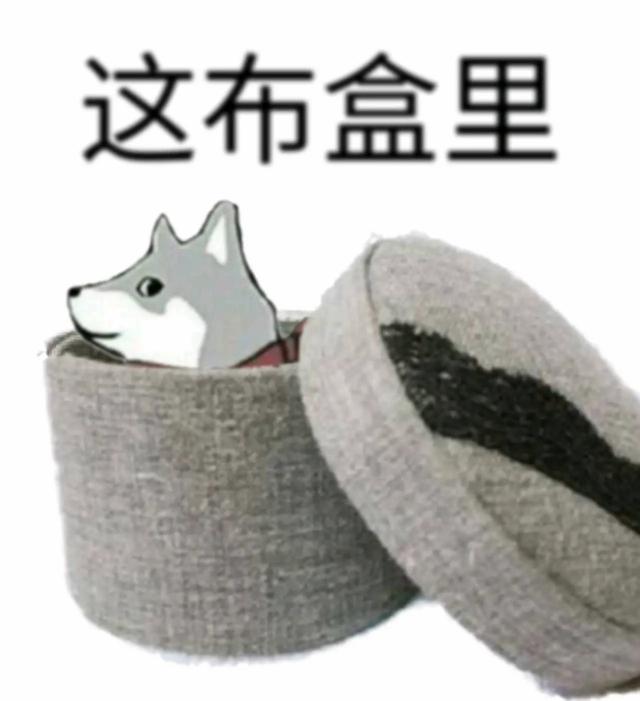 十天营收高达1亿美元的原神，在美国却遭遇到了玩家的抵制