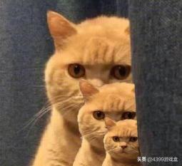 王者荣耀时下热门打法分析，详细解剖当今中路的兵线为何频频被蹭