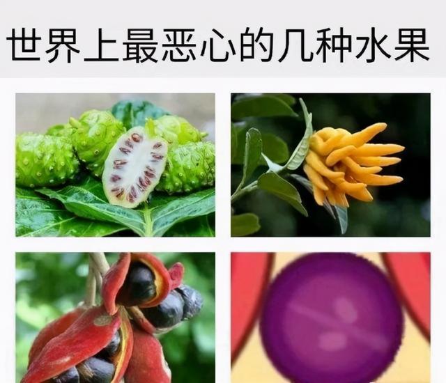 原神慌不慌？对手刚刚首测完就换头式重做，玩家：甜甜花酿鸡安排