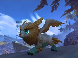 魔兽世界超可爱战斗宠物小翼狮幼崽获取全流程攻略