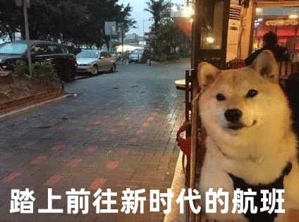 你的2020LOL年度报告：这一年让我们难以忘记