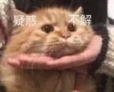 Steam重拳出击！薅“阿根廷区”羊毛的玩家凉了