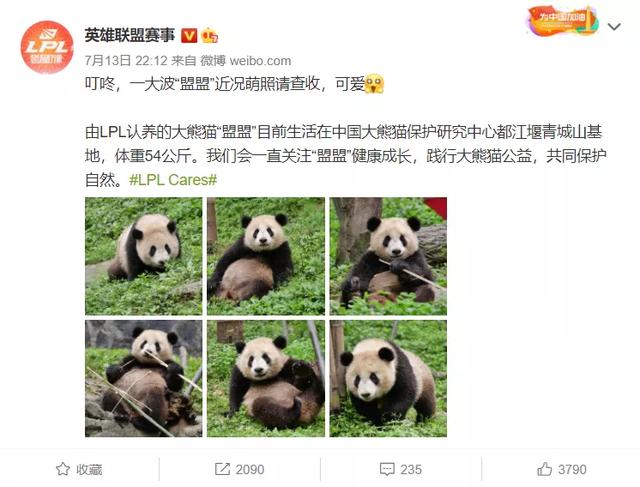 LOL资讯 FPX发布公告！｜RNG人员调整