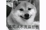60KB的游戏卖1500元？Steam上的这些奇葩游戏，就不是给人玩的
